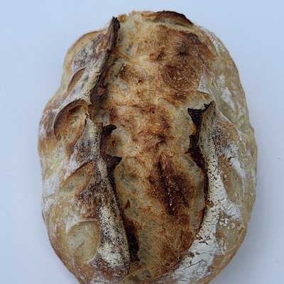 Sourdough Loaf