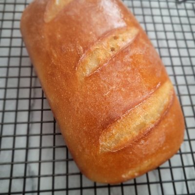 Gluten-Free Sourdough Bread 