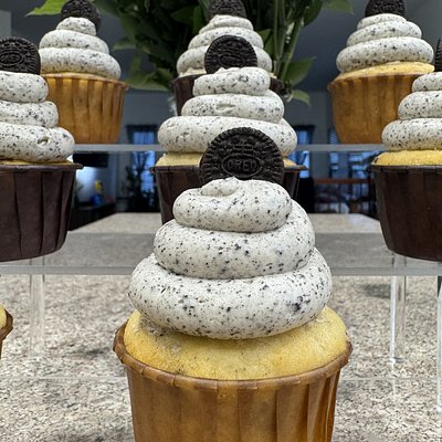 Gourmet Cupcakes