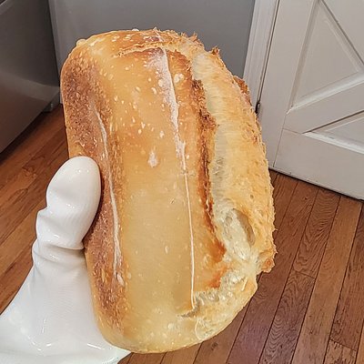 Classic Sourdough Bread 