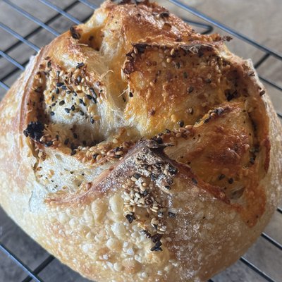 Everything Bagel with Cheddar