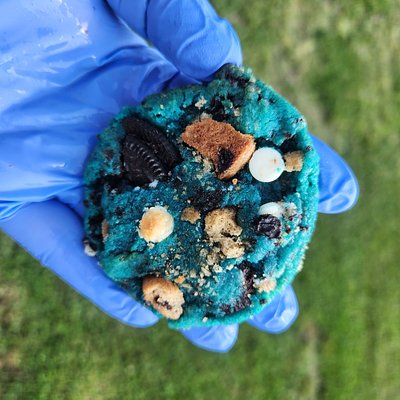 Cookie Monster Cookie