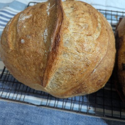 Classic Sourdough 