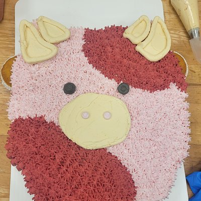 Cupcake Bouquet/ Cake