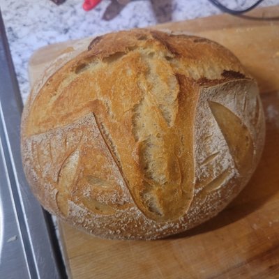 Sourdough - Medium Loaf