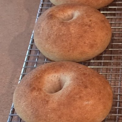 Yogurt Protein Bagels (6) - Plain