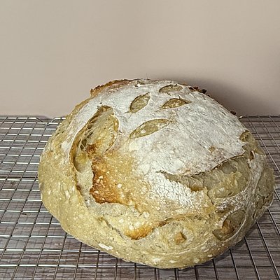 Roasted Garlic And Italian Herb