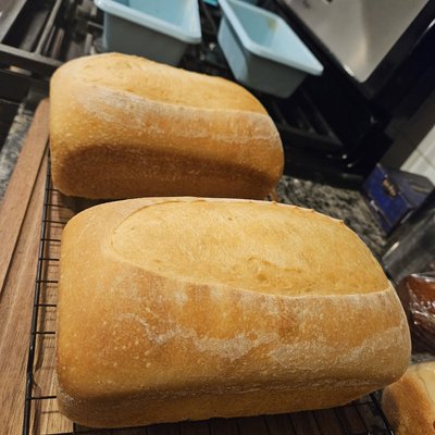 Potato Flake Sourdough Bread