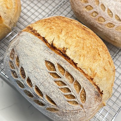 Organic Basic Country Loaf