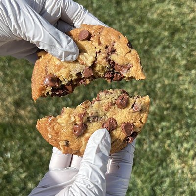 Walnut Chocolate Chunk Cookie