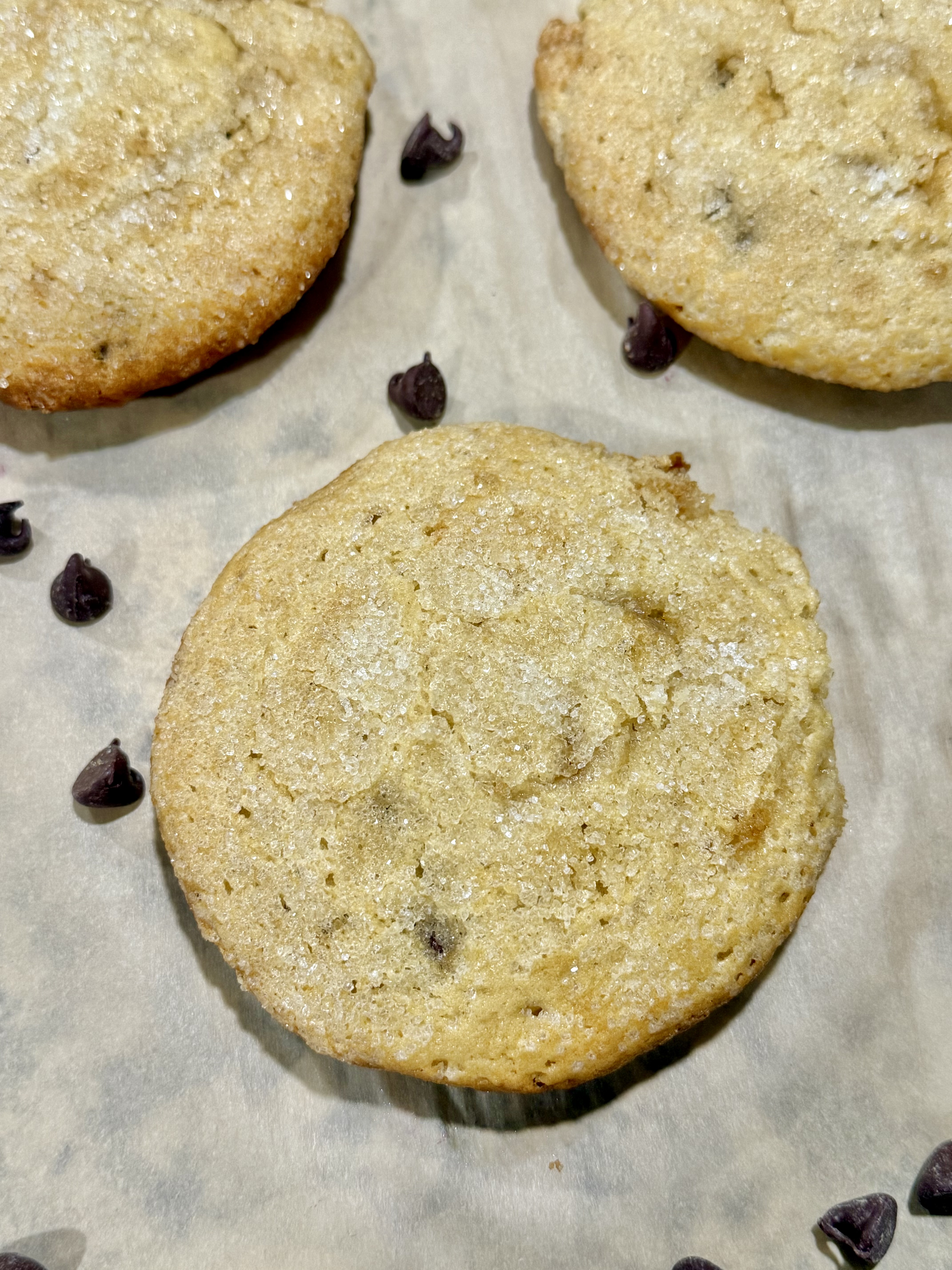 Chocolate Chip Muffin Tops - 6 Count
