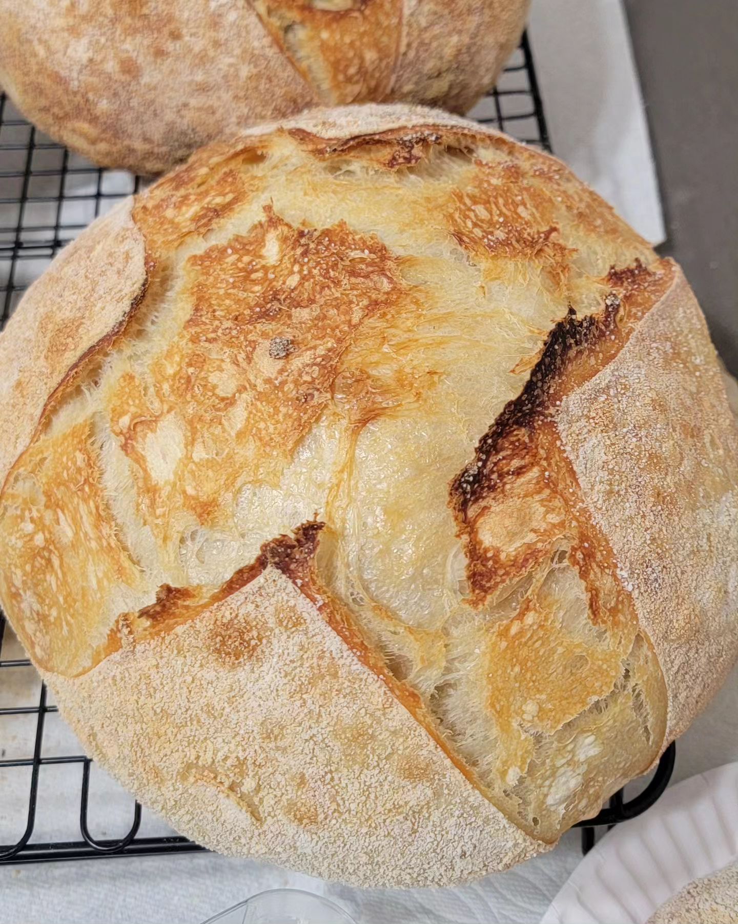 Sourdough Garlic-infused 