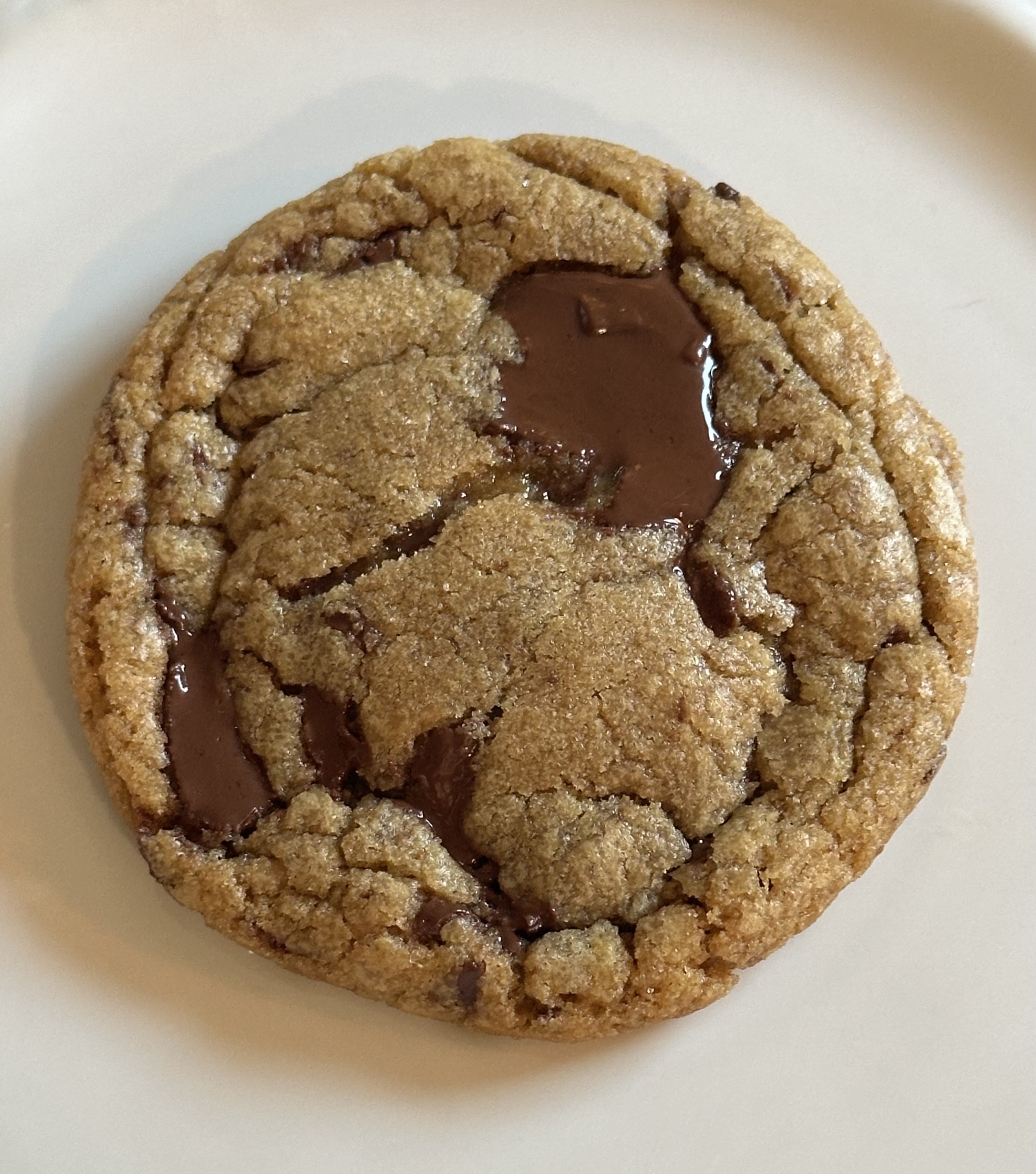Brown Butter Chocolate Chip Cookie 