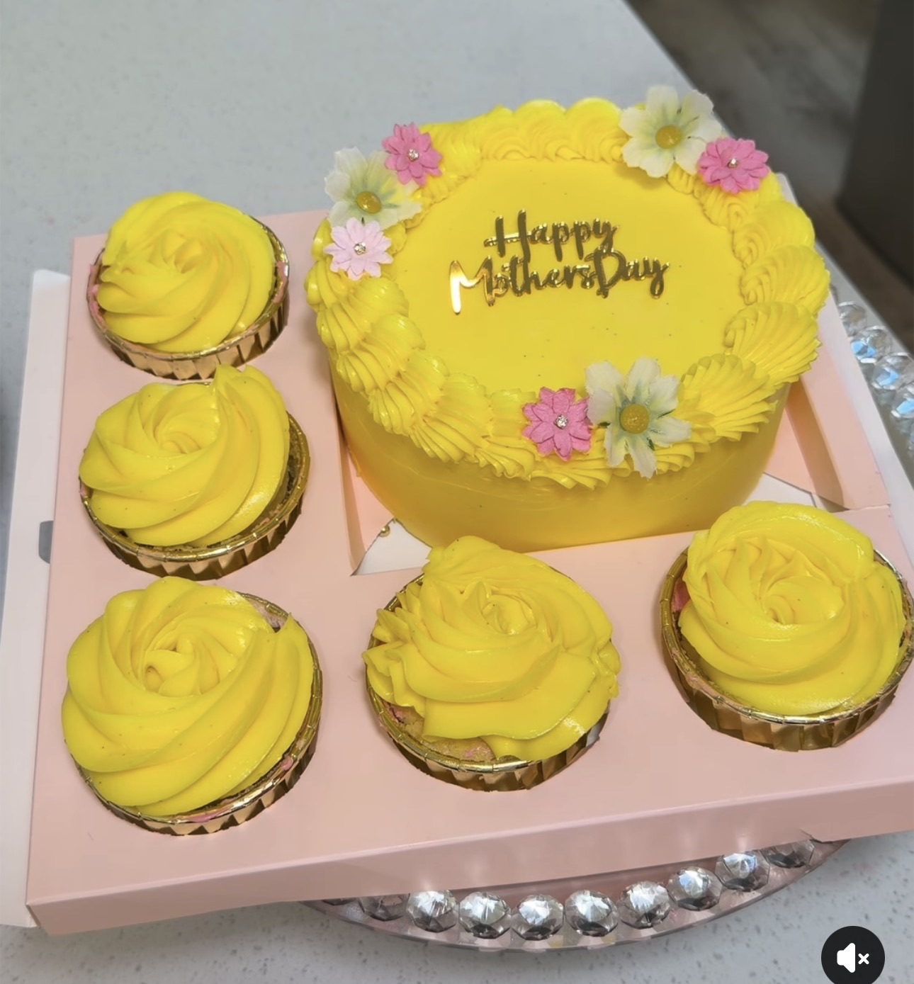 Bento Box Cake W/ Cupcakes