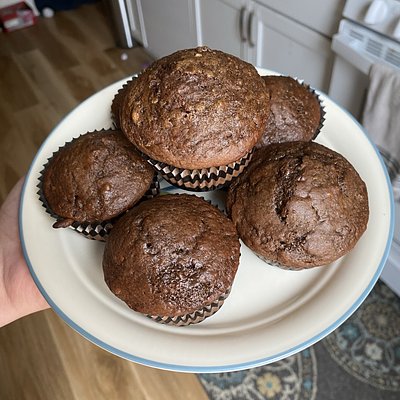 Double Chocolate Muffins