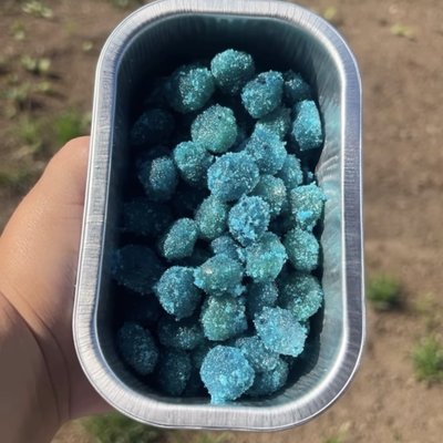 Sour Blue Razz Gushers 