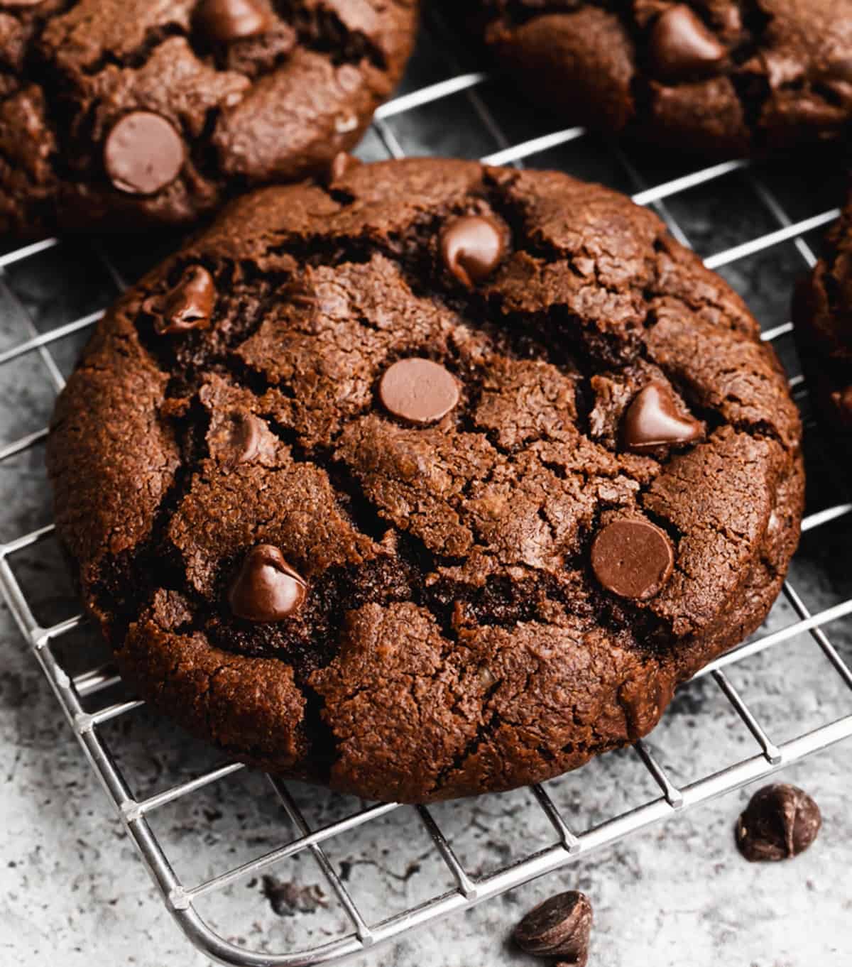Double Chocolate Chocolate Chip Cookies 