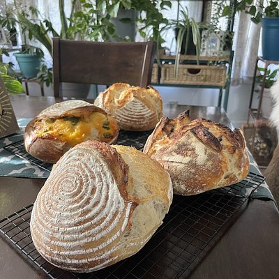 Plain Sourdough Boule