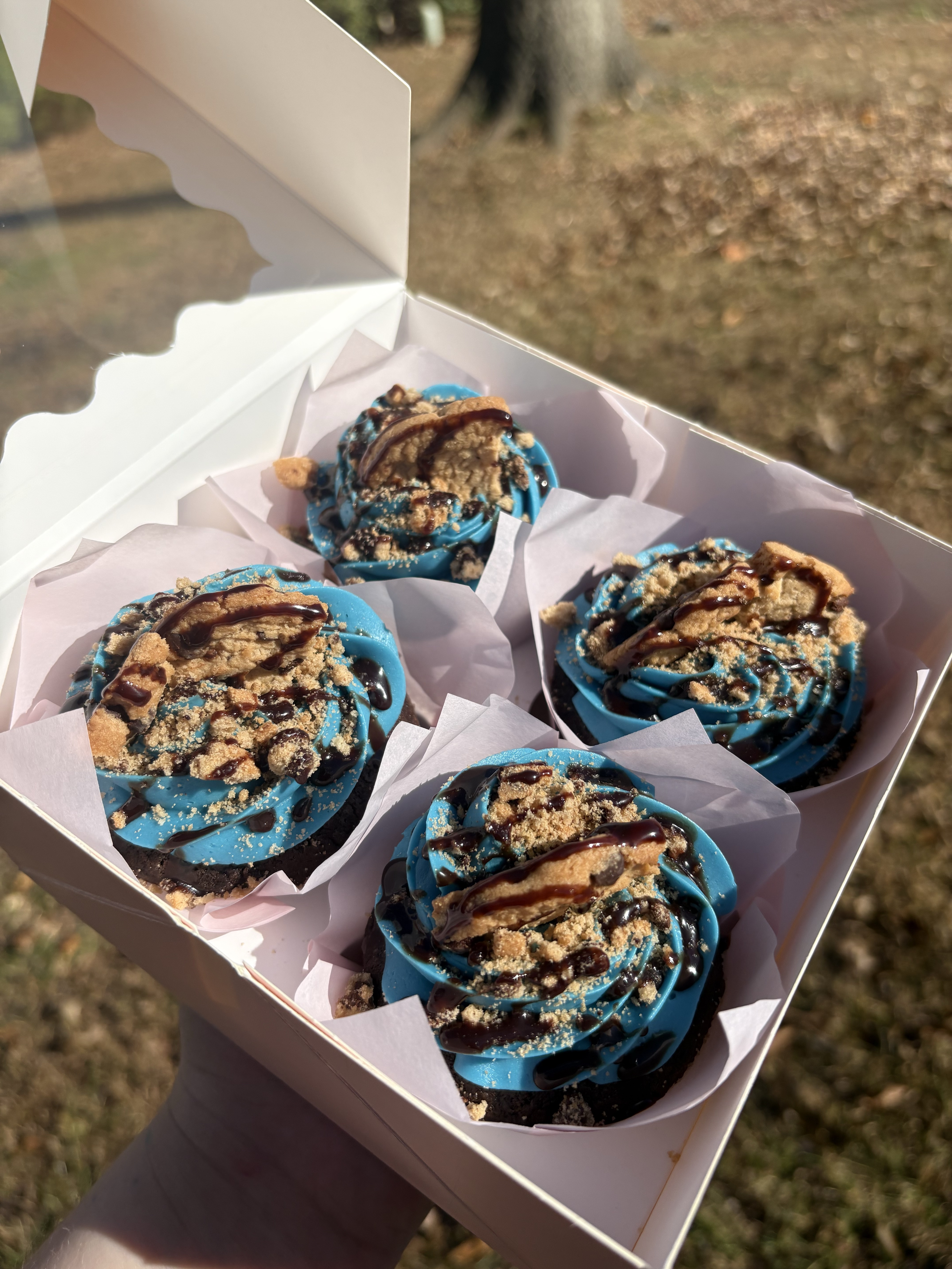 6CT Cookie Monster💙🍪