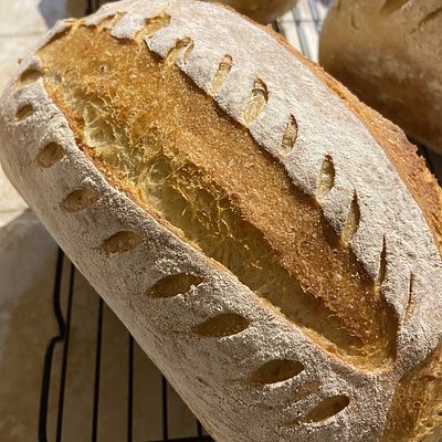 Plain Jane Sourdough Sandwich Bread
