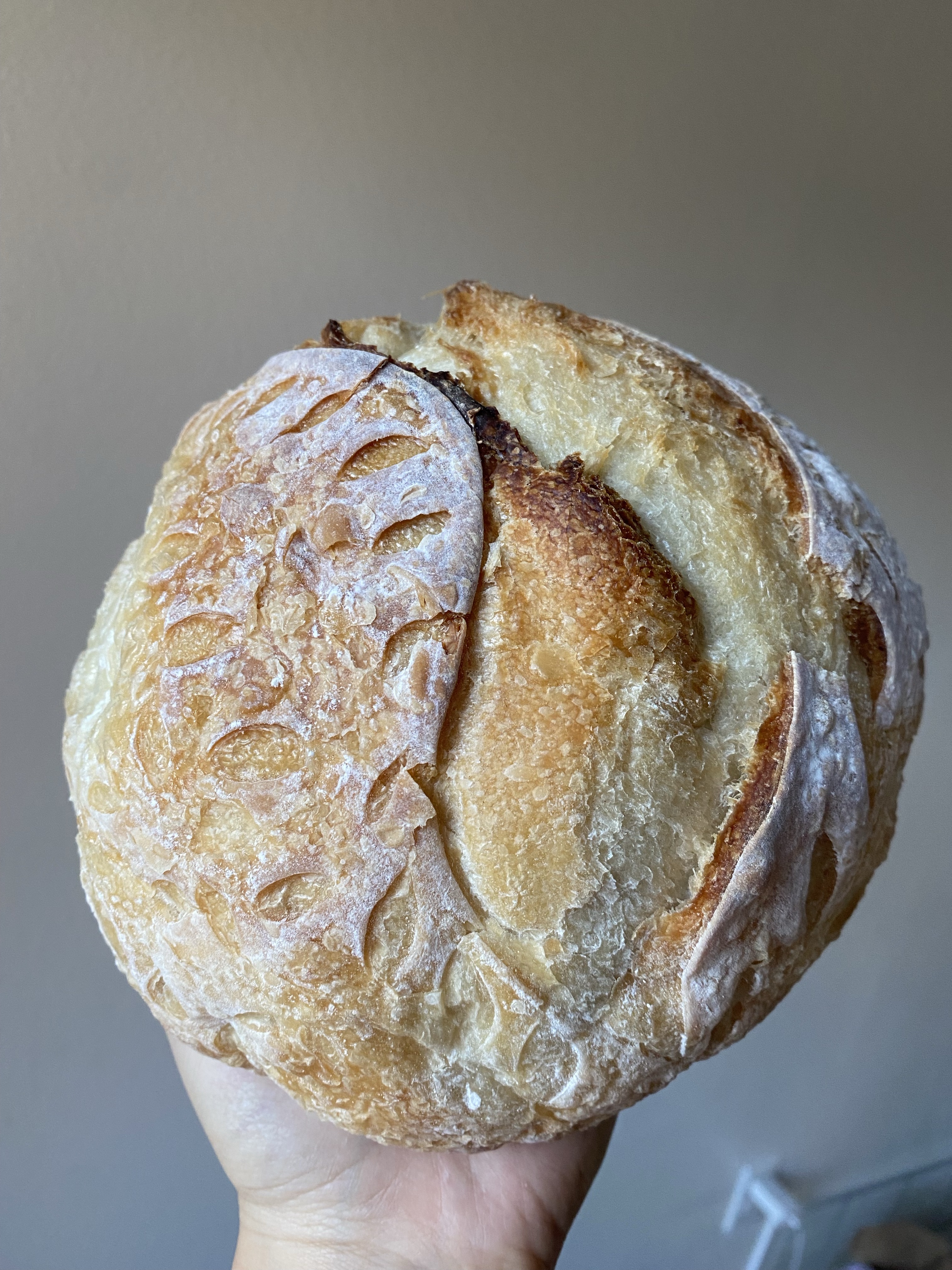 Sourdough Bread - Original