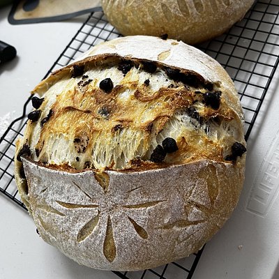 Chocolate Chip Sourdough 