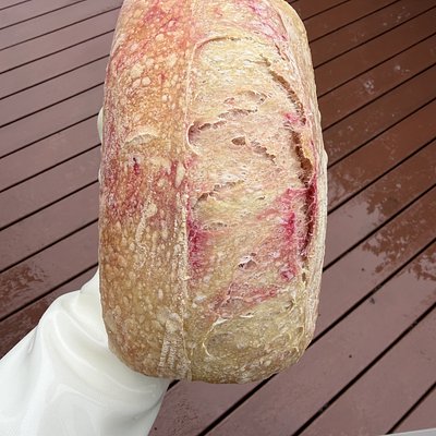 Raspberry Lemon Sourdough 