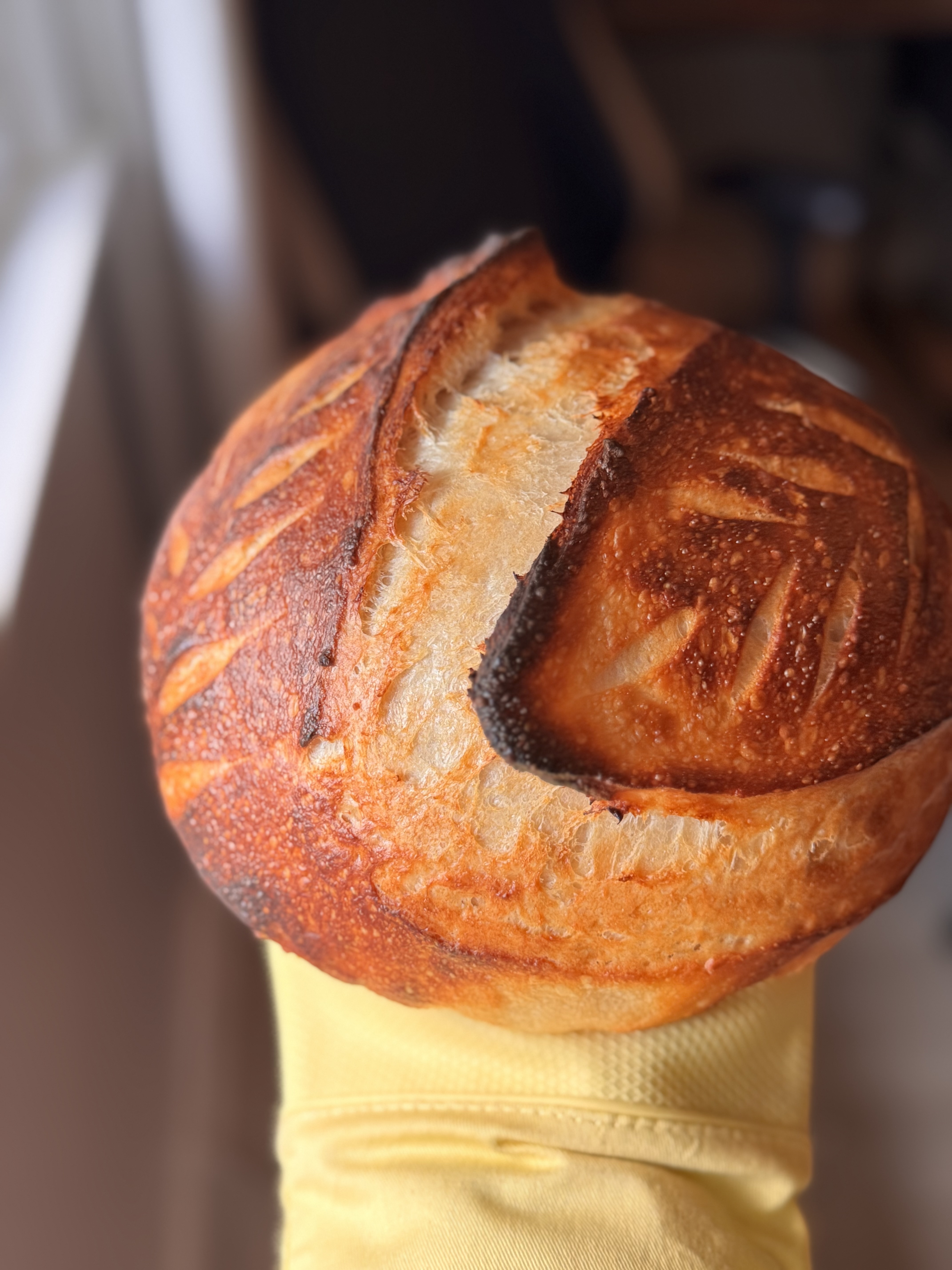Organic Sourdough 
