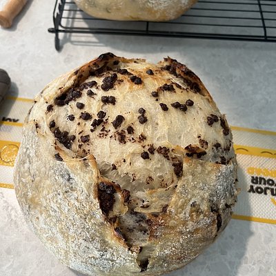 Chocolate Chip