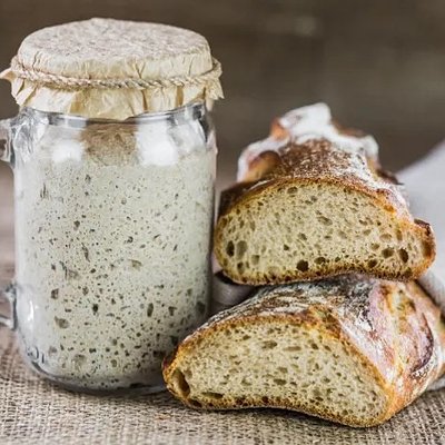 Sourdough Starter 