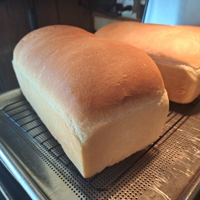 White Sandwich Bread 