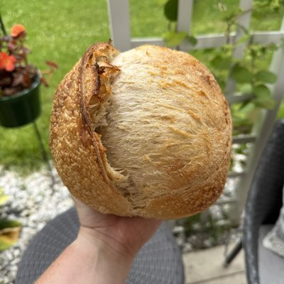Original Sourdough Loaf (oval/batard)
