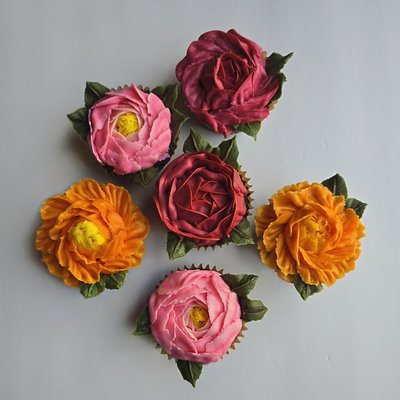 6ct Cupcake Box