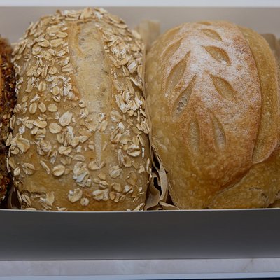 Sourdough Flight - Breakfast Blend