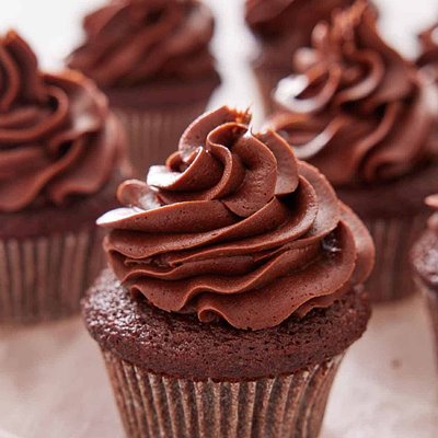 The B.E.Z.T. Double Chocolate Cupcakes