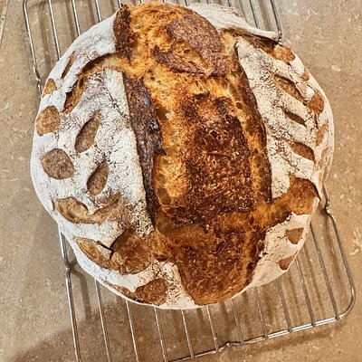 Plain Sourdough