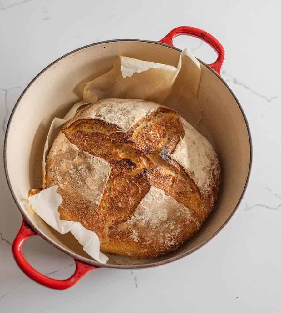 Plain Sourdough Loaf 