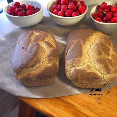 Sourdough Gluten Free Sandwich Bread