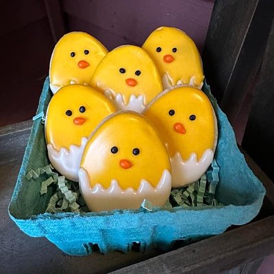 Chicks 🐣 
