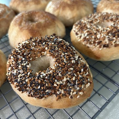 Sourdough Bagels 