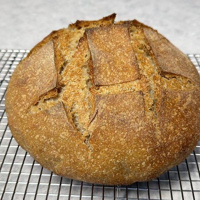 Whole Wheat Sourdough 