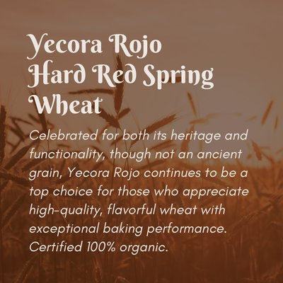 Organic Hard Red Wheat Berries (50 lb)