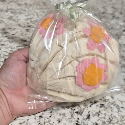 Conchas 1 Dozen 