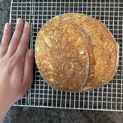 Plain Sourdough * Mini *