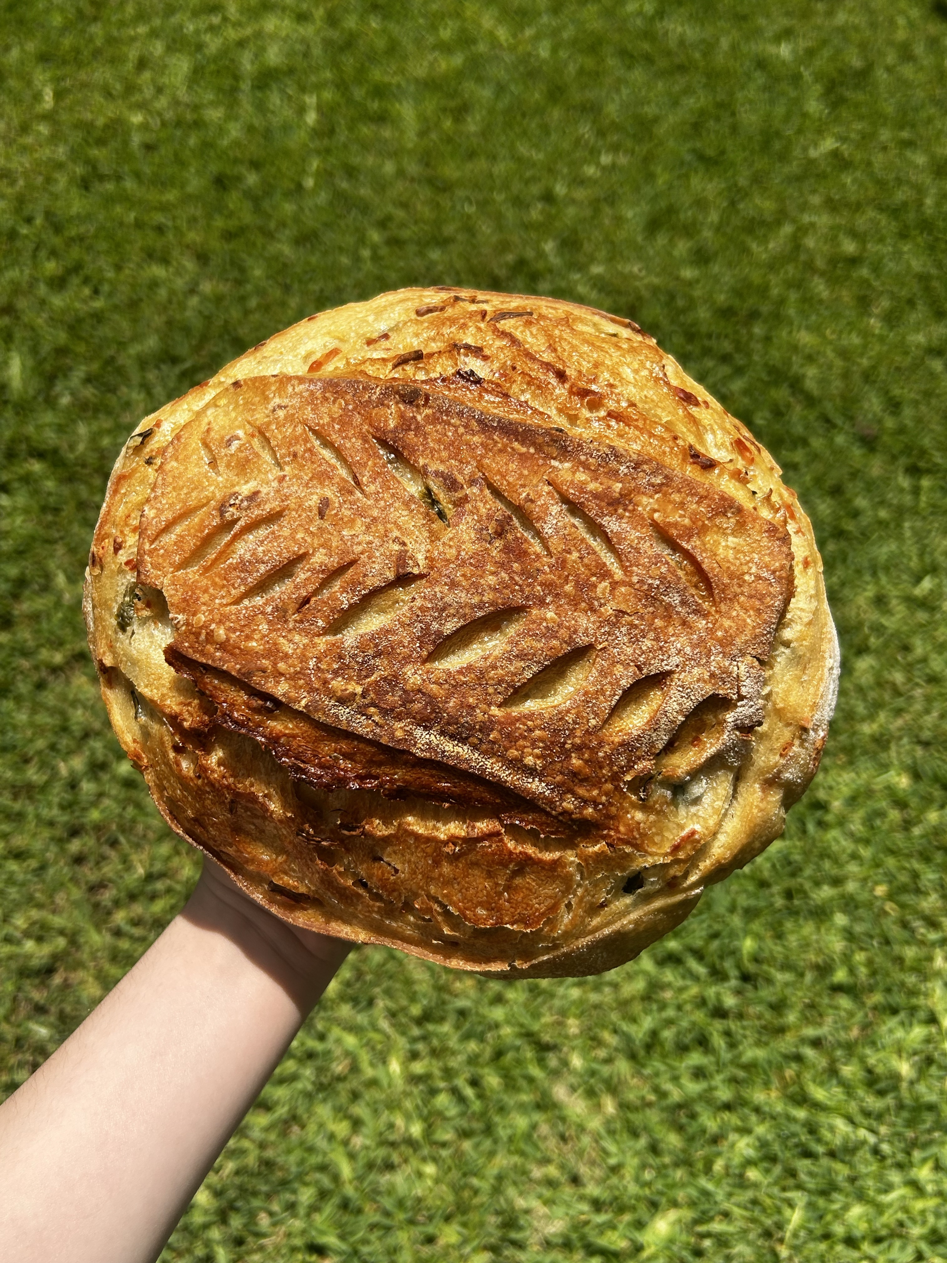 Jalapeño Cheddar Sourdough Loaf