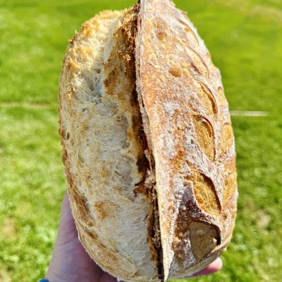 Original Sourdough (Whole Loaf)
