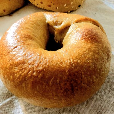 Plain Sourdough Bagels 