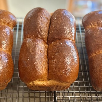 Sourdough Brioche Loaves
