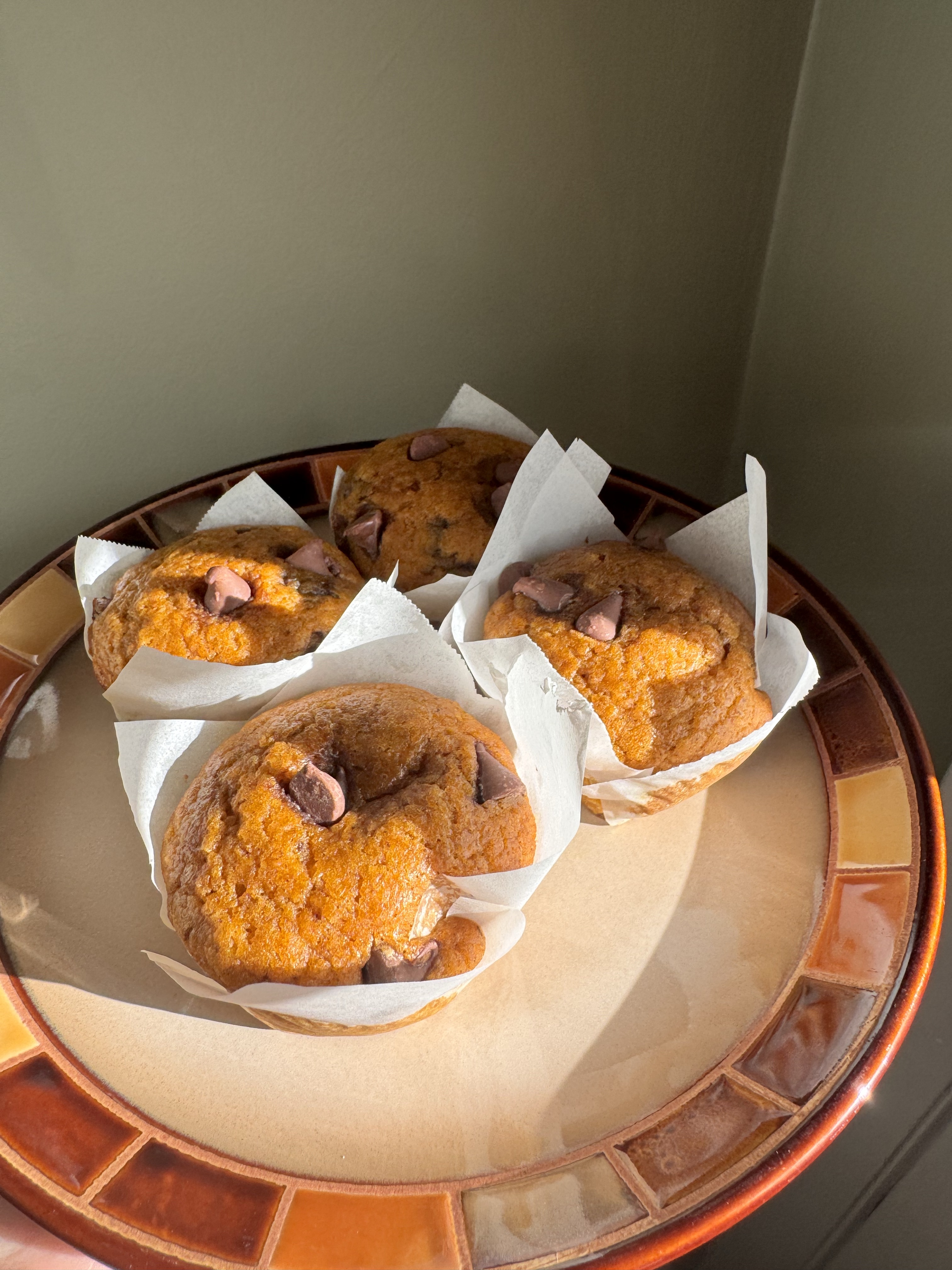 🫙Sourdough Chocolate Chip Pumpkin Muffins 