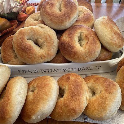 Plain Bagels